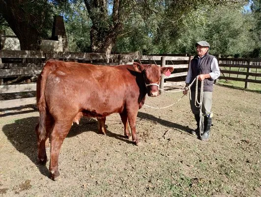 tn_IMG_20240501_104440562_HDR