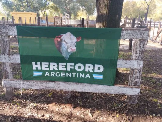 tn_IMG_20250508_152253614