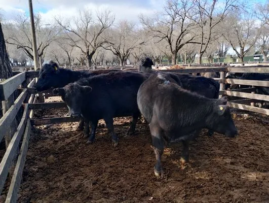 tn_IMG_20240628_143819882_HDR