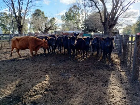 tn_IMG_20240628_160013260_HDR