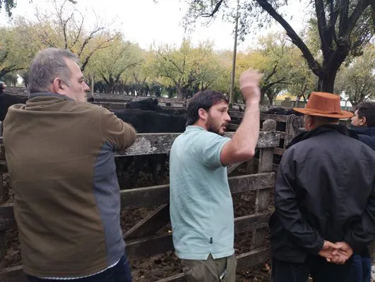 tn_IMG_20250425_154033489_HDR