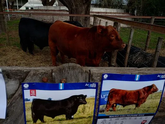 tn_IMG_20240625_114052815_HDR