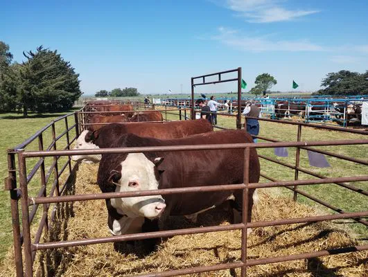 tn_IMG_20240927_141431668