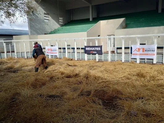 tn_IMG_20240529_112506553_HDR