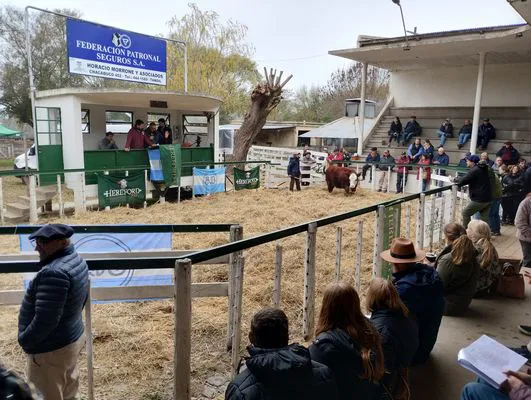 tn_IMG_20240601_123618115_HDR