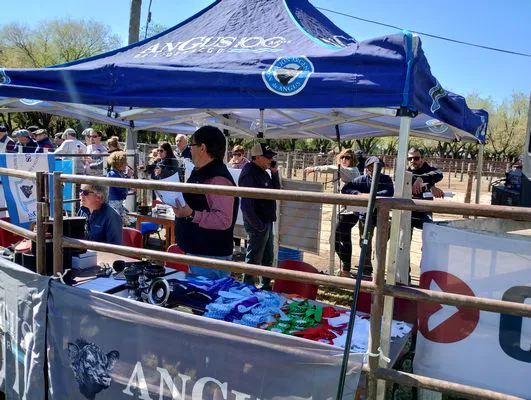 tn_IMG_20241002_103943077_HDR