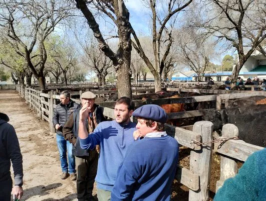 tn_IMG_20240828_114512958_HDR