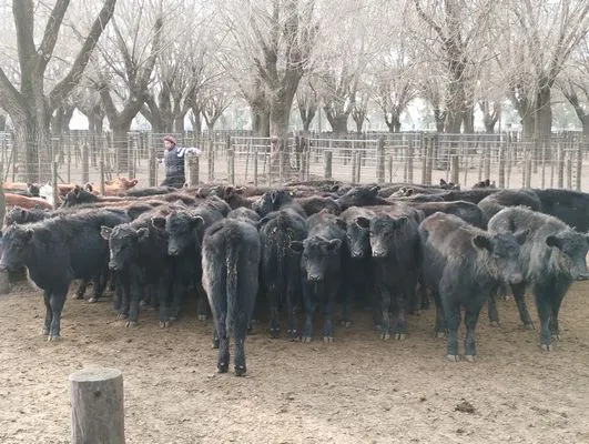 tn_IMG_20240718_153725666