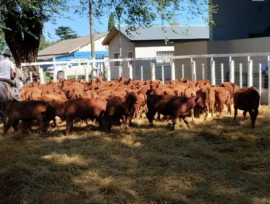 tn_IMG_20240214_155345634_HDR