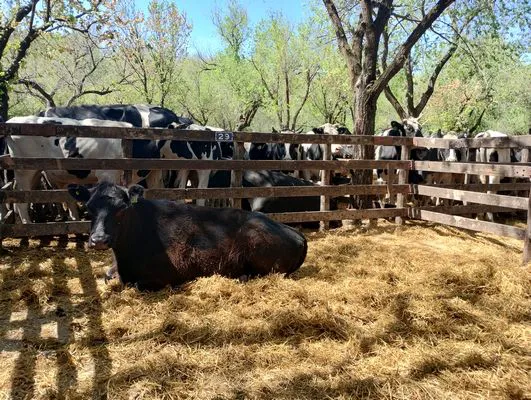 tn_IMG_20241008_133936304_HDR