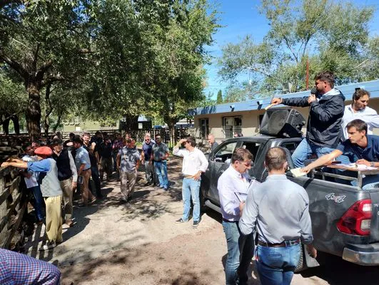 tn_IMG_20240326_135028905_HDR