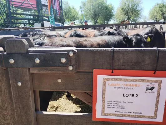 tn_IMG_20241026_113324509