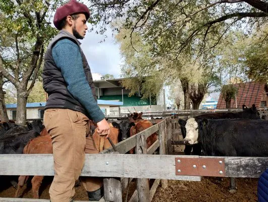 tn_IMG_20240529_121222896_HDR