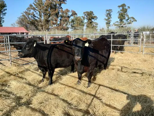 tn_IMG_20240711_112800417_HDR