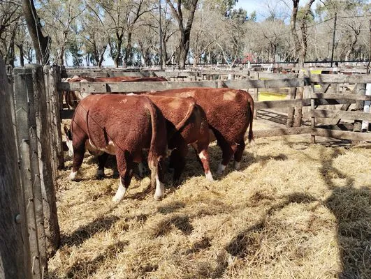 tn_IMG_20240906_121046548