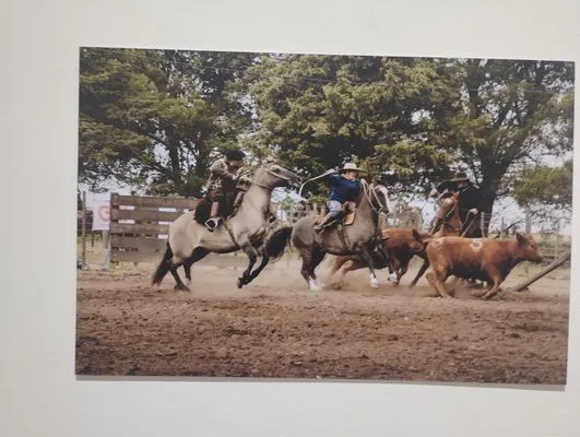 tn_IMG_20241015_185530102