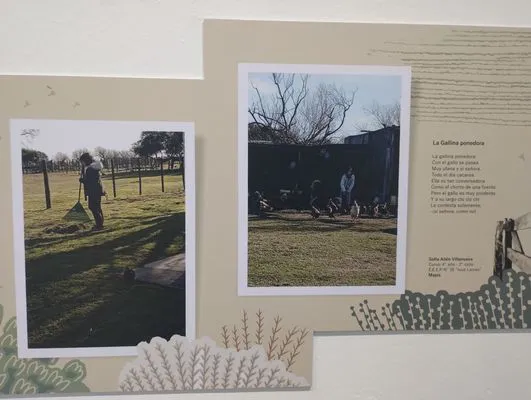 tn_IMG_20241015_185345925