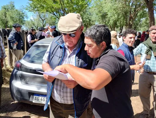 tn_IMG_20241026_111132897_HDR