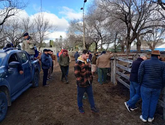 tn_IMG_20240628_145040360_HDR