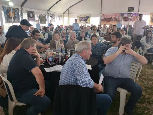 tn_IMG_20240815_144241286_HDR