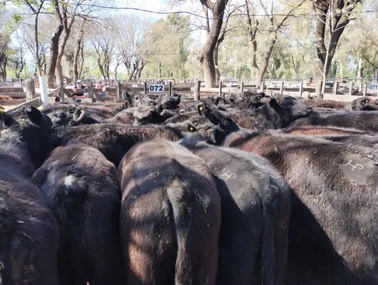 tn_IMG_20240925_145202163