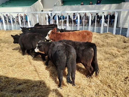 tn_IMG_20240828_125955985_HDR