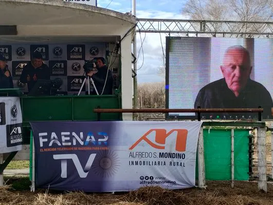 tn_IMG_20240625_142957518_HDR