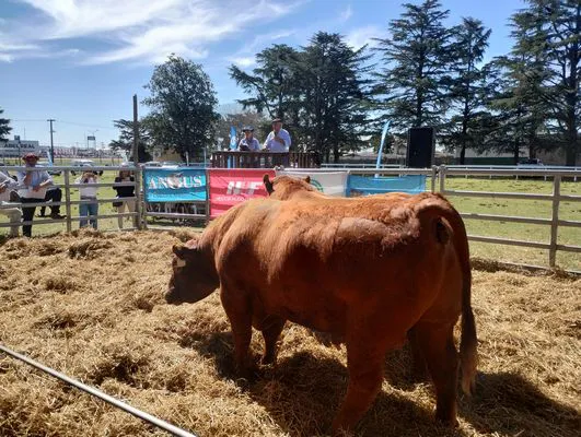 tn_IMG_20240912_142640326_HDR