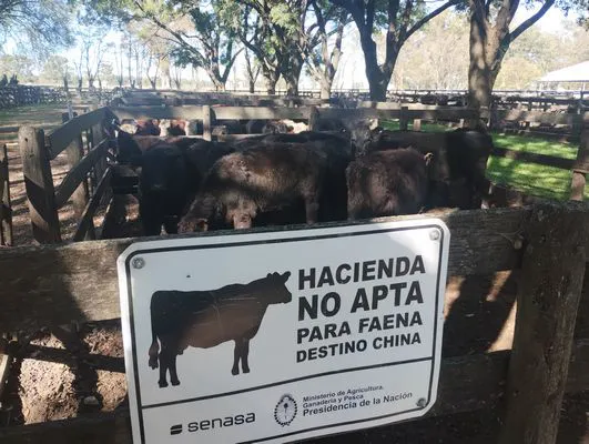 tn_IMG_20250505_125316104