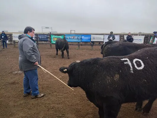 tn_IMG_20240806_105642545_HDR