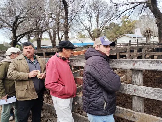 tn_IMG_20240731_113746719