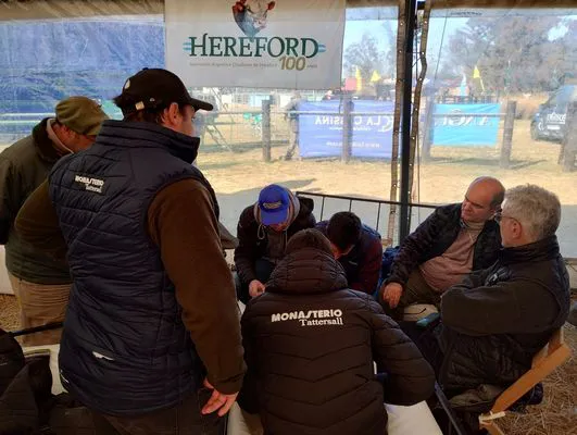 tn_IMG_20240711_132139599_HDR