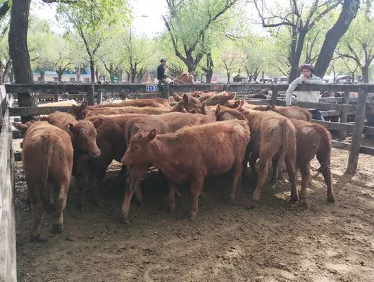 tn_IMG_20241008_154946106