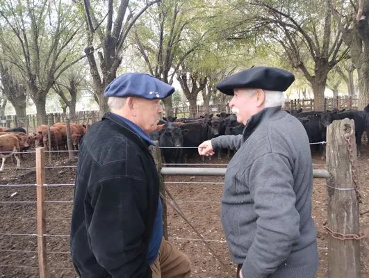 tn_IMG_20250602_164013330