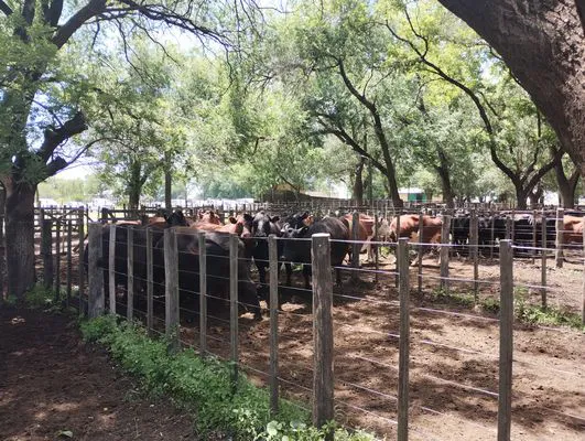 tn_IMG_20241211_113520530