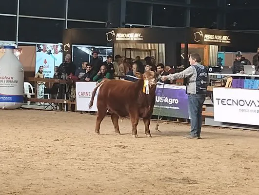 tn_IMG_20250521_185143029