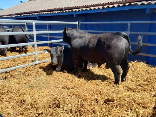 tn_IMG_20241018_141706630_HDR