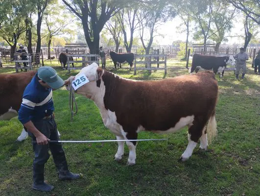 tn_IMG_20250508_151419296