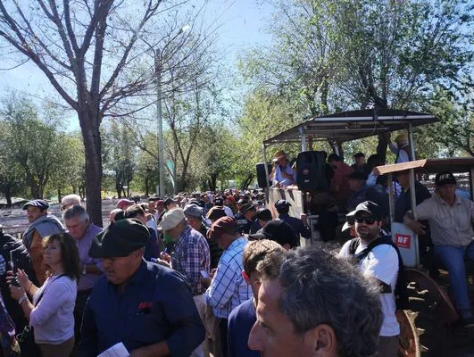 tn_IMG_20250424_143220473_HDR