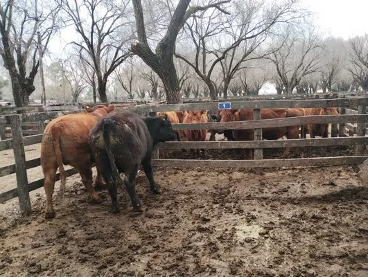 tn_IMG_20240731_112347973