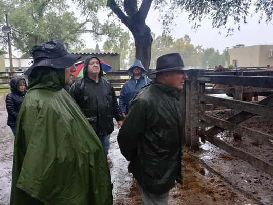 tn_IMG_20241023_114759696_HDR