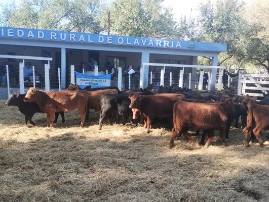 tn_IMG_20250409_160116735