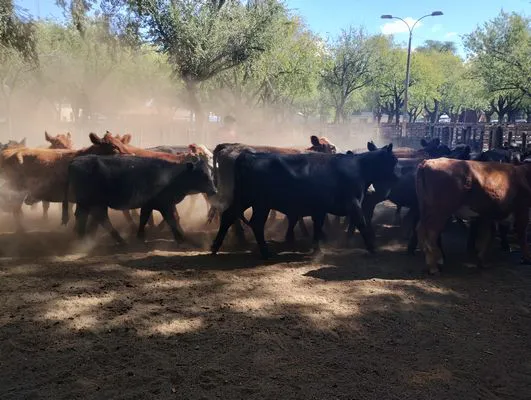 tn_IMG_20250220_162354330_HDR