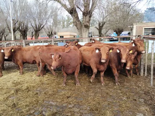 tn_IMG_20240625_115258446