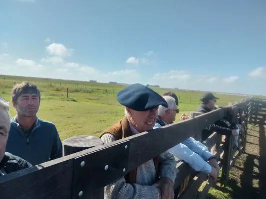 tn_IMG_20250409_103741104_HDR