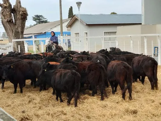 tn_IMG_20240731_131149681_HDR