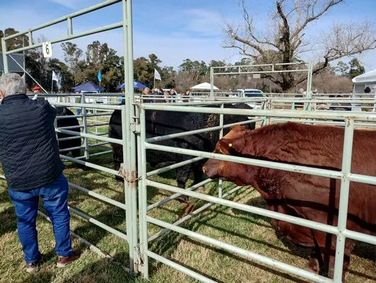 tn_IMG_20240815_112234811_HDR