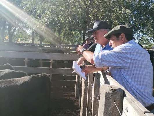 tn_IMG_20240405_165234735