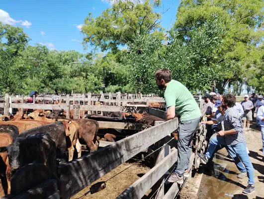 tn_IMG_20241129_152619697