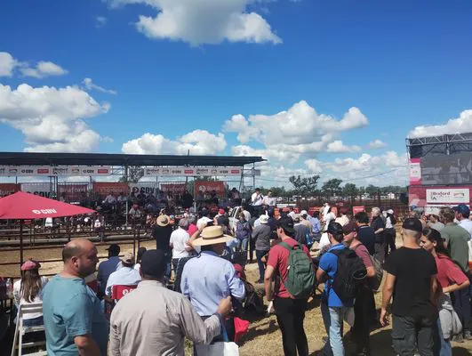 tn_IMG_20250313_150349557